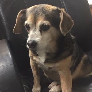 Meet your Posher, Zach